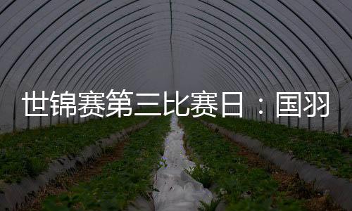 世锦赛第三比赛日:国羽11胜2负 石宇奇陈雨菲晋级16强