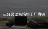 三分频试音箱柜工厂直销汽车音响改装店音响箱柜组合低音炮箱包邮