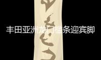 丰田亚洲龙门槛条迎宾脚踏板防踩保护贴车内装饰汽车用品配件改装