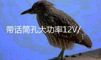 带话筒孔大功率12V/220V车车载蓝牙低音炮功放板汽车音响功放板