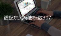 适配东风标志标致307凯旋世嘉正极线 汽车电瓶蓄电池正级电缆配件