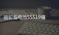 骆驼蓄电池55519福特福克斯嘉年华马自达3/2赛欧汽车电瓶12V55ah