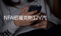 NFA纽福克斯12V汽车电瓶充电器大功率充满自停25A蓄电池充电机